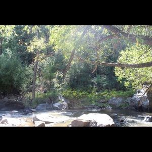 Meet your Posher, Cyndie